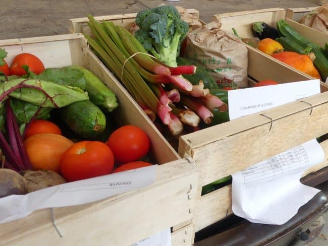 Occitanie solidarité alimentaire