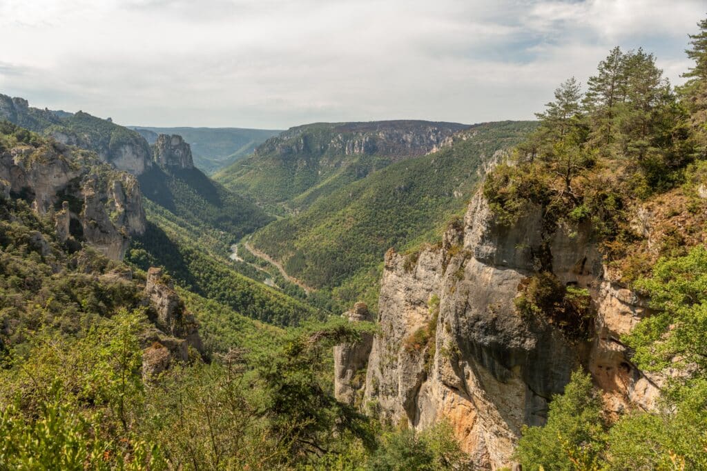 Gorges-du-Tarn-vues-depuis-la-Lozere