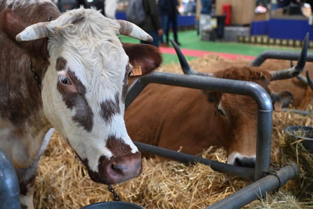 salon agriculture lot garonne