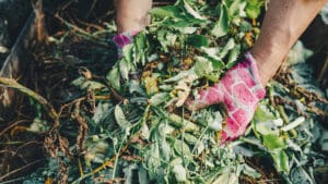 Un jardinier fait le tri du compost, des déchets verts.