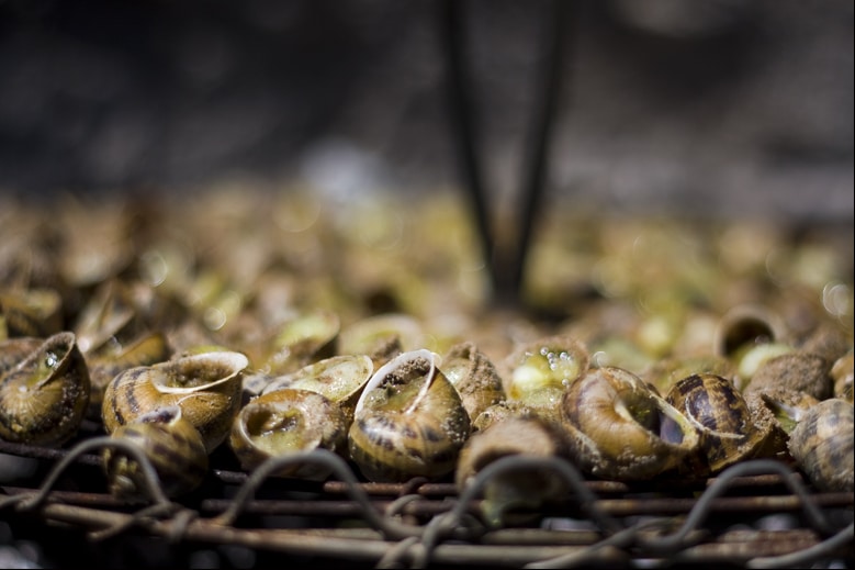 spécialités culinaires des Pyrénées-Orientales