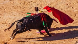 La corrida à Nîmes pendant la féria.