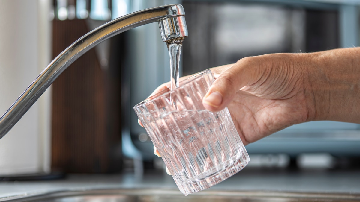 Un verre d'eau du robinet.